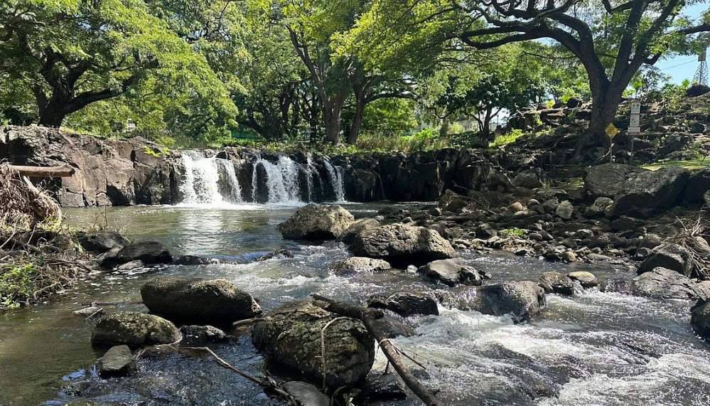 Liliʻuokalani Botanical Garden, United States